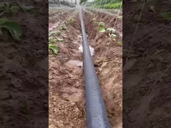 Cintas de pulverización